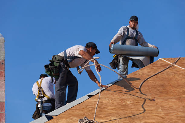 Best Residential Roofing Contractor  in Dawson, GA