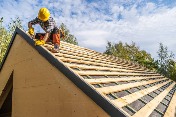 Best Shingle Roofing Installation  in Dawson, GA