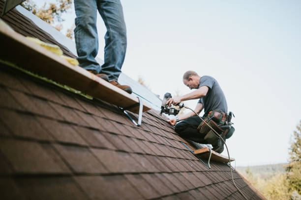 Best Metal Roofing Contractor  in Dawson, GA