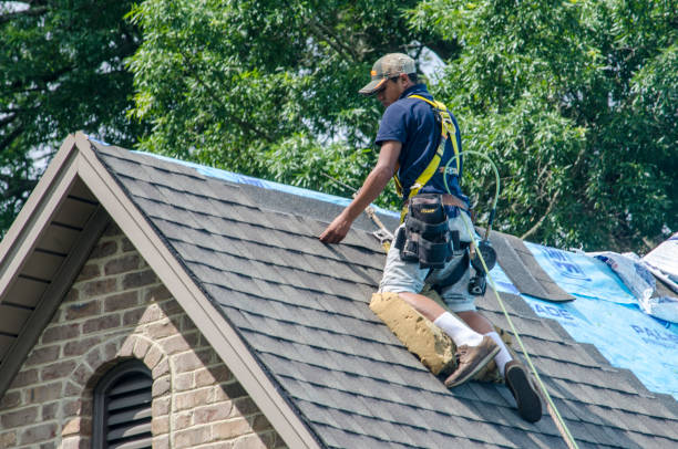 Best Roof Gutter Cleaning  in Dawson, GA